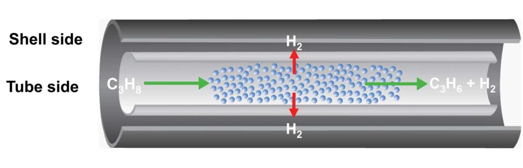 The reactor resembles a nested pair of tubes. Propane (C3H8) from shale gas flows through the innermost tube. A green arrow shows how the gas particles flow along the tube, splitting into propylene (C3H6) and hydrogen gas (H2) in the process. As the hydrogen gas is produced, red arrows show that it can flow through the wall of the inner tube into the outer tube.