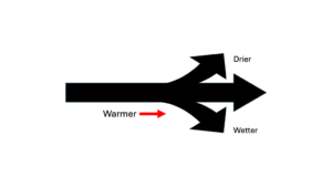 Graphic depicts a forked road with three options: forward, left, and right