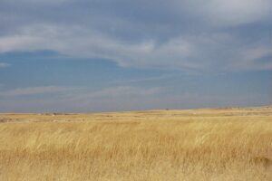 Barren Nebraska landscape