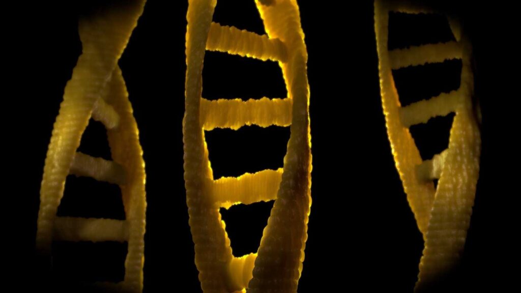 Chromosomes. Image credit: CC0 Public Domain