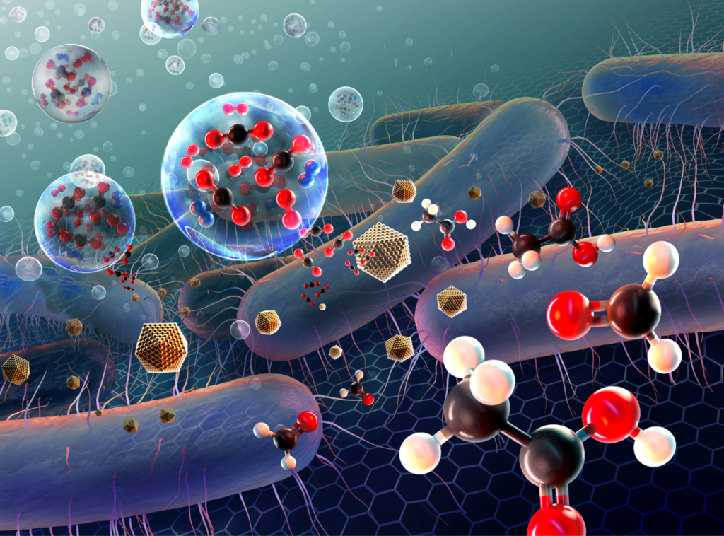 Illustration shows ball and stick models of CO2 particles interacting with bacteria and metal nanoparticles on an electrode to produce different molecules.
