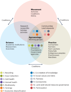 The 13 HLPE principles of agroecology are indicated by circular icons positioned in relation to agroecology spheres (science, practice and movement). Arrows indicate coordination between spheres necessary to achieve the principles. Text indicates key actors working within and across the main spheres. NGOs, non-governmental organizations. Image courtesy: Springer Nature, as published in Nature Food.