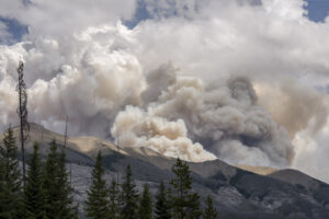 Burning forest fire in British Columbia in Kootenay National Park.