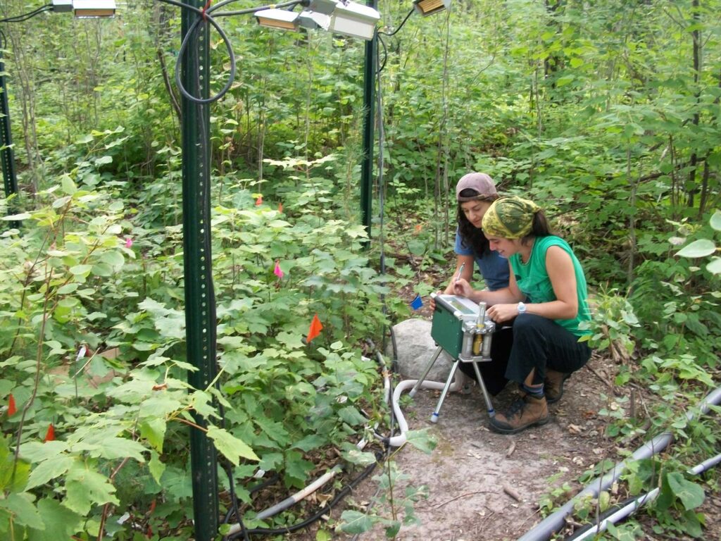 Two researchers kneel near a piece of scientific equipment—a metallic box roughly the size of a toaster on four short legs—next to a plot of forest used for a long-running soil carbon experiment. Small, green juvenile trees grow on the plot that’s demarcated by tall green posts.