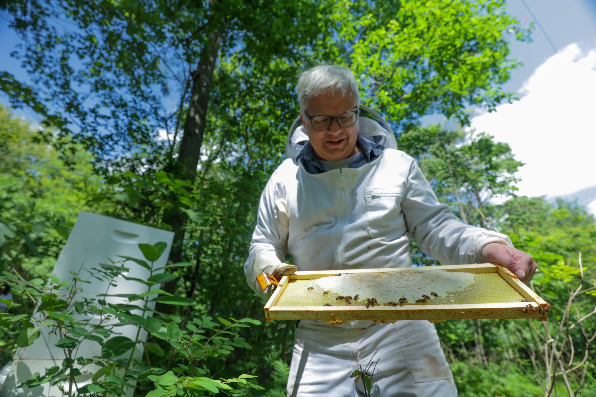 Brian Stork, a University of Michigan assistant professor of urology, took up beekeeping with his kids and donated extra honey to raise money for local nonprofits. Image credit: Jeremy Marble, Michigan News
