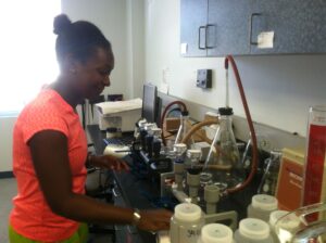 University of Michigan graduate student Teal Harrison prepares samples for isotope analyses from the burrow of a predatory mantis shrimp, sampled from the Indian River Lagoon in Florida. Image credit: Diarmaid Ó Foighil, University of Michigan