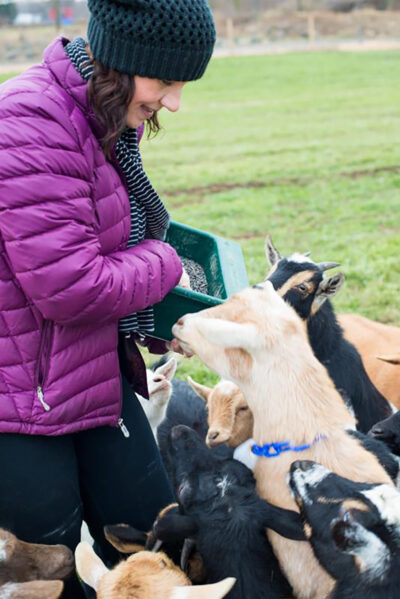 A photo of a woman feeding goats