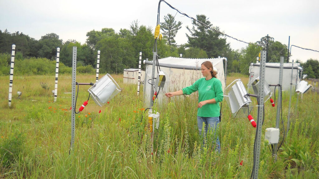 A researcher stands in a grassland plot surrounded by posts, wires and scientific apparatus.