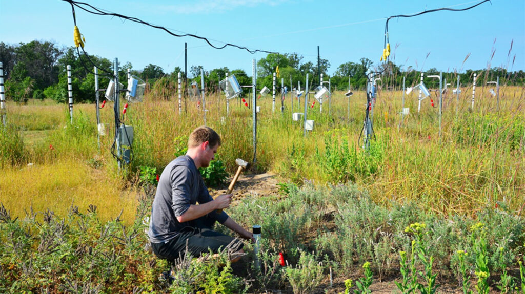 A researcher kneels in a grassland plot with a mallet in one hand while holding a tube for collecting soil samples in the other.