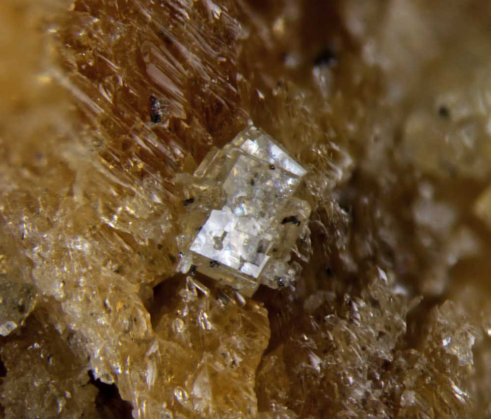 Benyacarite was named for an influential Argentine geologist named Maria Angelica Rodríguez de Benyacar. This specimen is from the Folgosinho Quarry in Portugal. Images credit: Chris Emproto