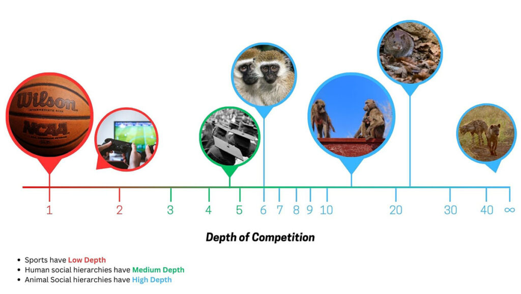 A chart plots the depth of competition for several different types of contests. A basketball and video game are on the lower end of the spectrum, with depths between 1 and 2, showing that sports have low depth. A photo of students at graduation, located between 4 and 5, shows that university rankings and other human social hierarchies have a medium depth. Animal hierarchies have high depths, from vervet monkeys around 6 to hyenas at upwards of 100. Baboons and mice fall in between, at 13 and 26, respectively.
