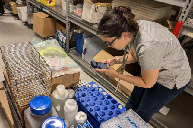 Photo of a woman looking at a phone that she's holding over top of lab supplies.