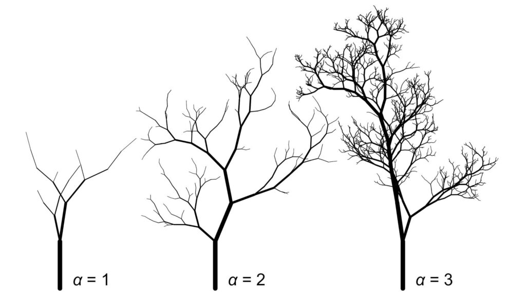 A series of black-and-white images show trees generated by a computer with three different branch diameter scaling factors, denoted with the Greek letter alpha. For alpha equals one, the drawing looks like a small branch with a handful of smaller offshoots. For alpha equals two, the figure looks much more like a tree in fall—taller and fuller with more branches. The alpha equals three case is fuller still.