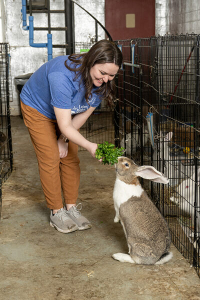 A photo of a woman bending over to offer parsley to a rabbit on his hind legs