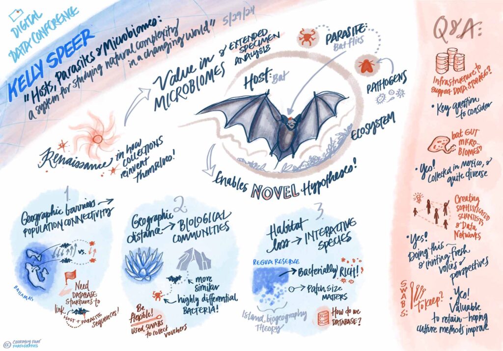 Image by Courtney Foat, advisor for strategic initiatives & organizational engagement at the University of Kansas, who graphically recorded and synthesized the keynote talk by Kelly Speer at the Digital Data 2024 Conference in Lawrence, Kansas in May of 2024.