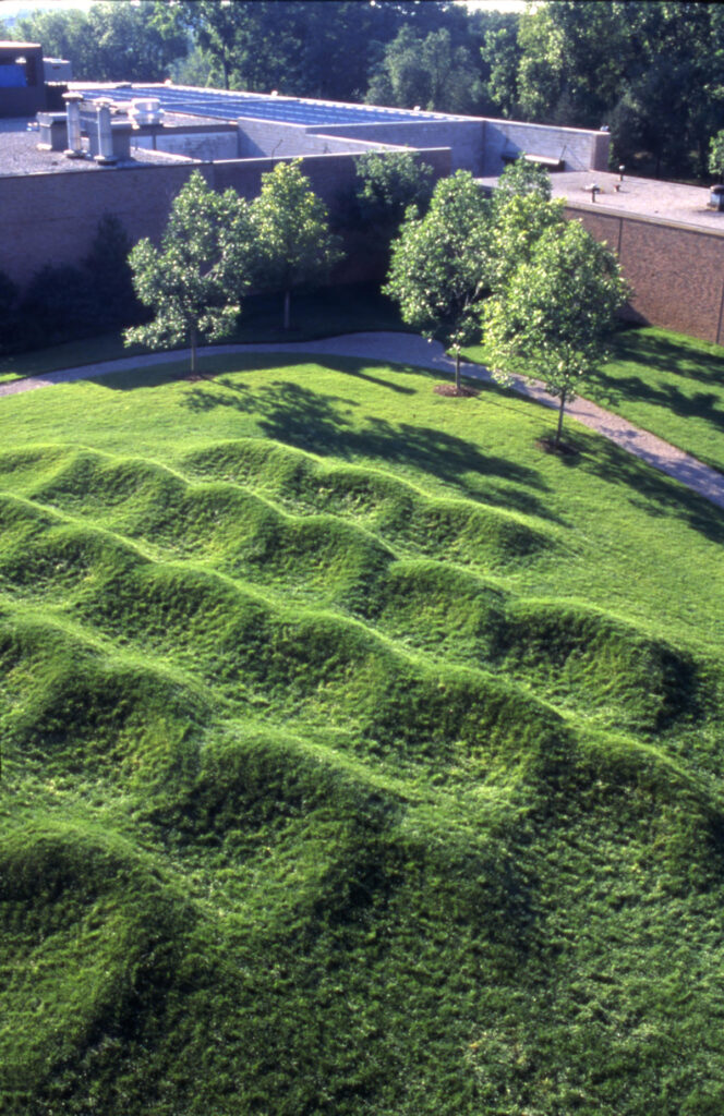 The Wave Field at U-M