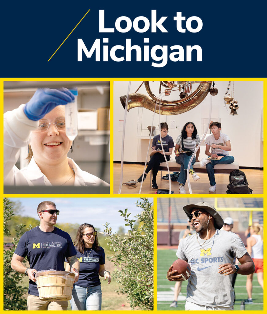 Look to Michigan logo and images