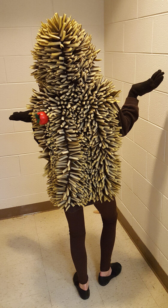 Hedgehog costume