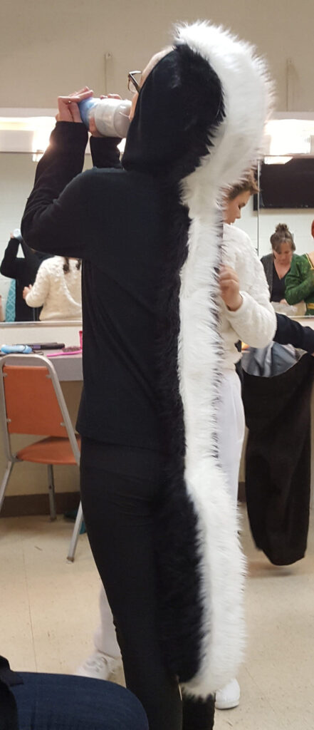 Skunk costume