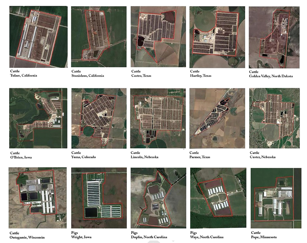A grid of 15 animal feeding operations seen from space in satellite images. The operations stand out as regions segmented with rectangles of roofs and smaller lots against large neighboring areas of more uniform green and brown fields.