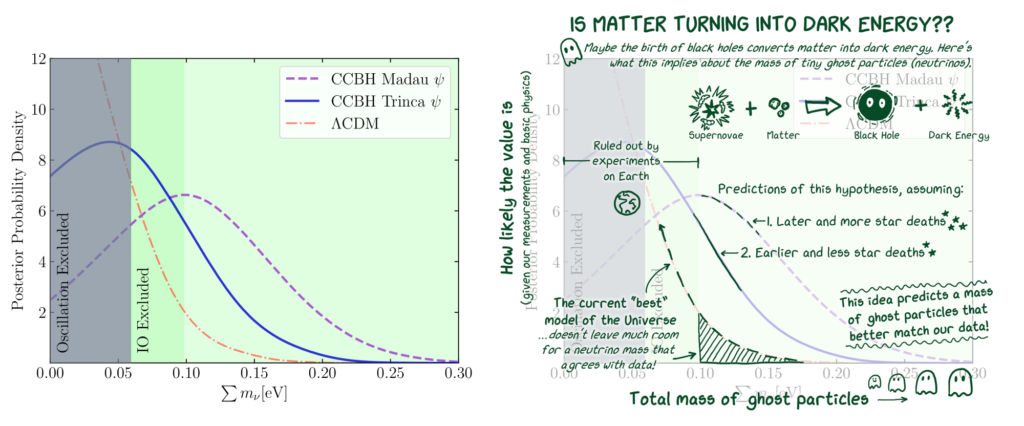 A scientific plot on the left hand side shows the posterior probability density along its y-axis and the sum of neutrino masses along the x-axis. Three different curves are shown for three different frameworks, one called lambda CDM, one called CCBH Madau and one called CCBH Trinca. On the right, the same graph is shown with handwritten annotations and drawings, explaining the significance of key features of the graph. The y-axis shows how likely a value is given measurements and basic physics. The x-axis shows the total mass of ghost particles, a nickname for neutrinos. The graph is titled "Is matter turning into dark energy?" The subtitle reads "maybe the birth of black holes converts matter into dark energy. Here's what this implies about the mass of tiny ghost particles (neutrinos)." A cartoon at the top of the graph illustrates this with an equation showing supernovae plus matter gives black holes and dark energy. The underlying graph has three curves: One that shoots off the chart as it gets close to zero, and two others that spread out, forming more gentle humps with their peaks at values of about 0.05 and 0.10 on the x-axis. Much of the first curve exists in a region labeled "Ruled out by experiments on Earth." A note at its tail end says "The current 'best' model of the universe doesn't leave much room for a neutrino mass that agrees with data!" The remaining two curves show predictions of the CCBH hypothesis. The curve that peaks at 0.10 assumes later and more star deaths, while the curve that peaks at 0.05 assumes earlier and fewer star deaths. A nearby note reads, "This idea predicts a mass of ghost particles that better match our data."