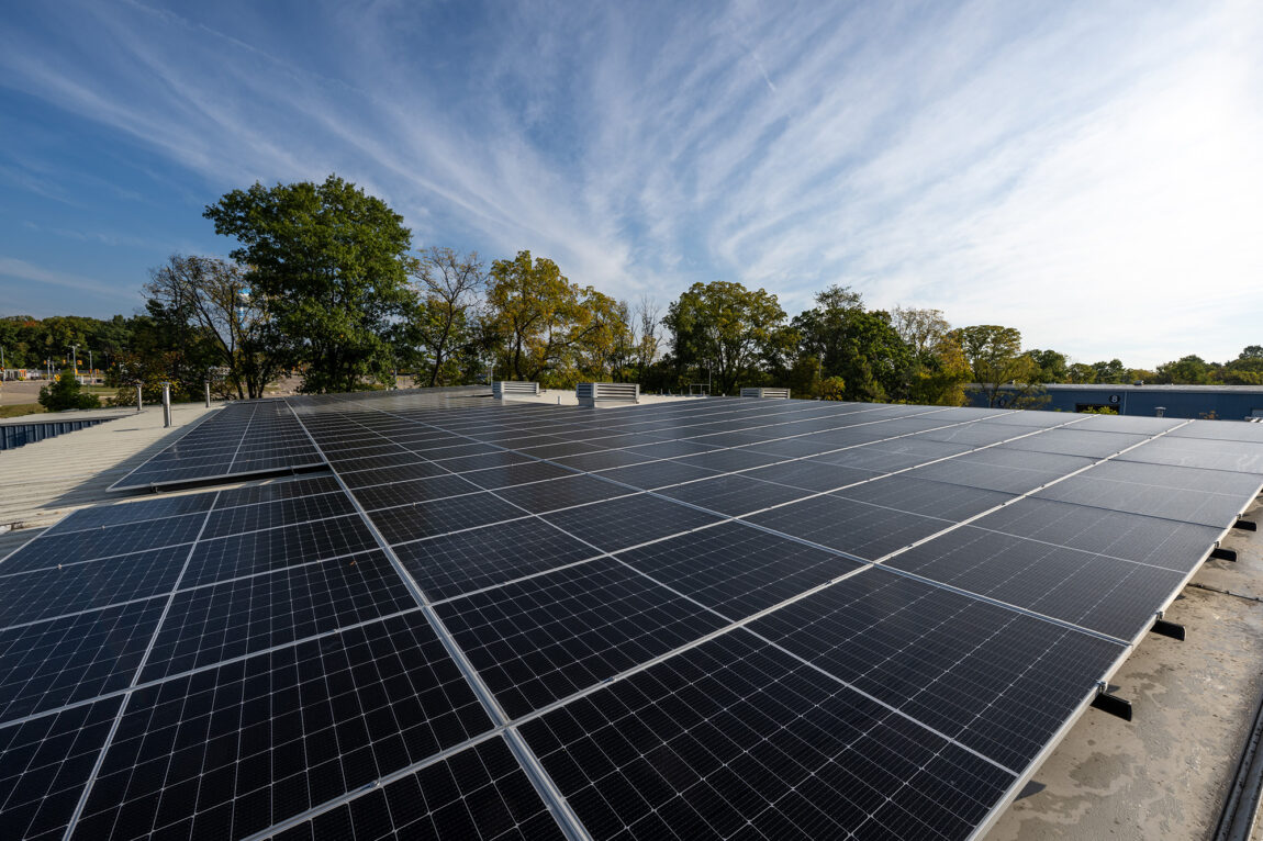 Solar panels lined up with trees in the background