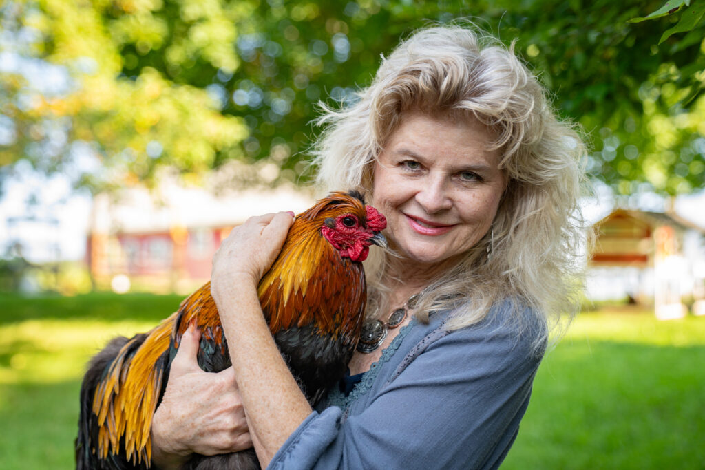 Laura Sanders with Buttercup, a rooster at Sanders’ Lovingway Farm, 