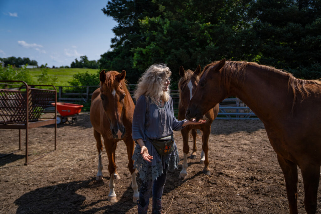Sanders with Lovingway Farms’s three full-sized horses: Lucky Charm, Willy and Chevago.