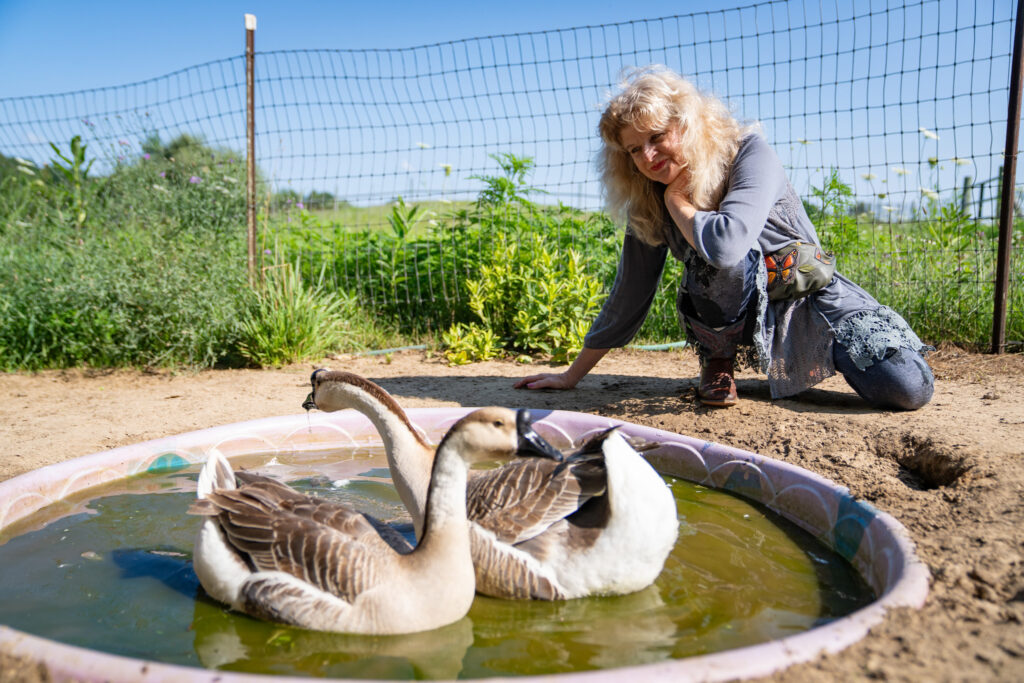 Sanders with the farm’s geese pair: Ebenezer and Adeline
