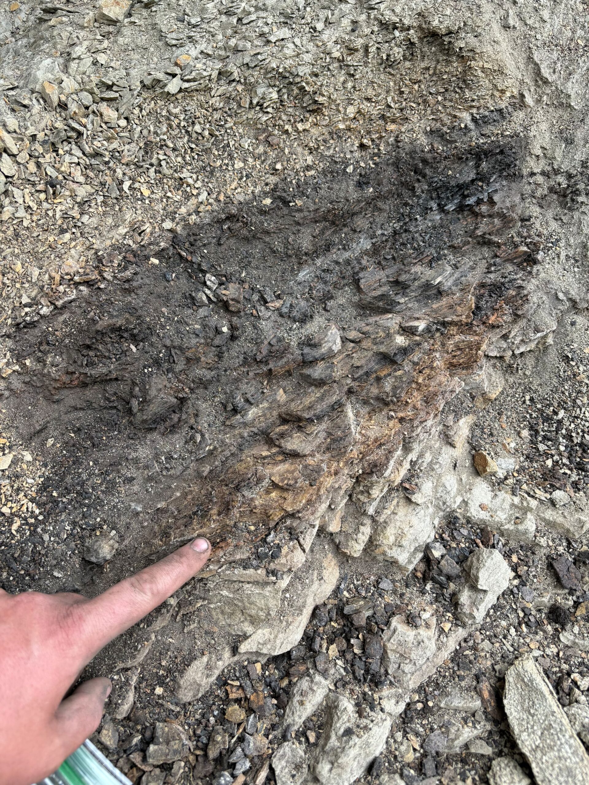 U-M paleontologist Luke Weaver points to the iridium anomaly, an iridium-rich layer of sediment which settled over much of Earth after an asteroid slammed into the planet, extinguishing dinosaurs. Image credit: Luke Weaver/University of Michigan
