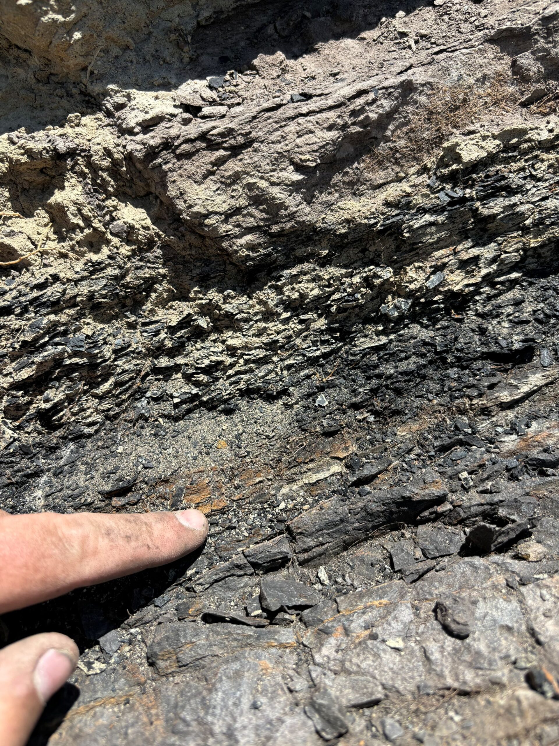 U-M paleontologist Luke Weaver points to the iridium anomaly, an iridium-rich layer of sediment which settled over much of Earth after an asteroid slammed into the planet, extinguishing dinosaurs. Image credit: Luke Weaver/University of Michigan