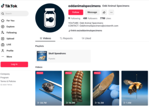 Image of tik tok screen regarding oddanimalspecimens account