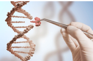 Image shows manipulation of the genome.