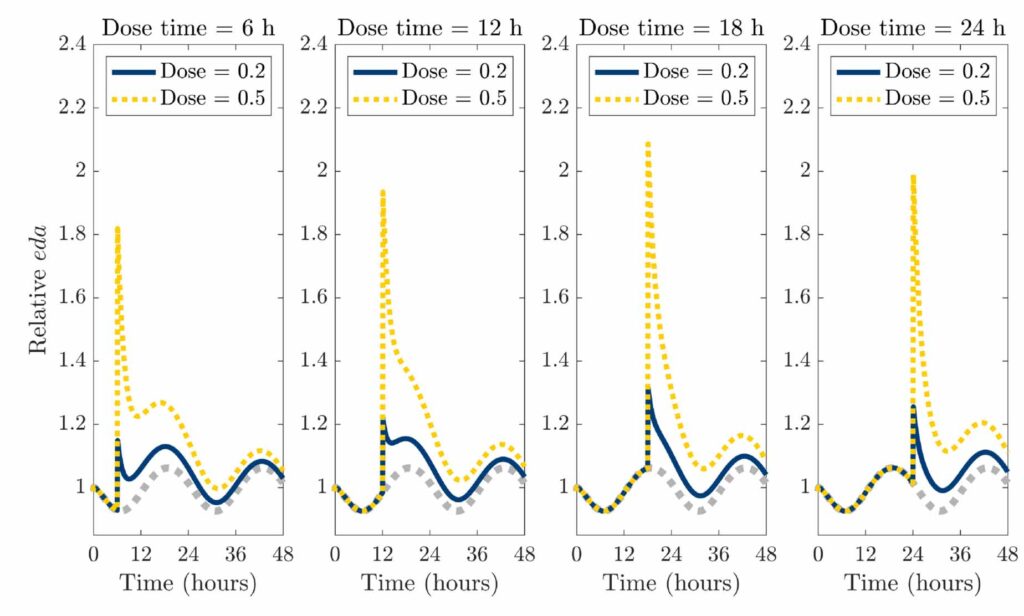 A series of four graphs shows results from a model that predicts how extracellular dopamine will respond to the drug modafinil when taken at different dosages and times, relative to a natural circadian rhythm. The natural dopamine cycle is a dotted gray sinusoidal wave at the bottom of each graph. When modafinil is taken in the morning, when the natural dopamine cycle is at a low, extracellular dopamine levels shoot up and drop suddenly, but the fall is "caught" by the natural rhythm. That is, the drop is less severe than when the drug is taken later. Thus, taking the drug earlier leads to a more sustained response throughout the 2-day period shown on the graph. The graphs also show the spike-and-crash feature is less pronounced at lower dosages.