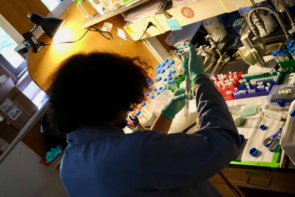 A scientist prepares samples in the lab of Nils Walter, co-director of the Center for RNA Biomedicine at the University of Michigan. Image courtesy: Nils Walter Lab