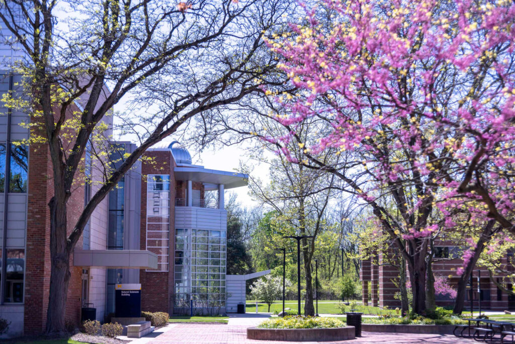 Campus buildings in spring