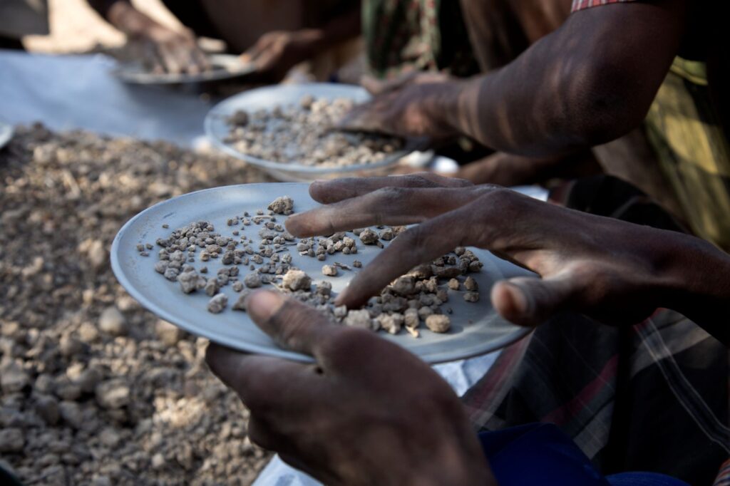 Picking of sifted dirt at one of the hominin discovery localities. Image credit: Dale Omori