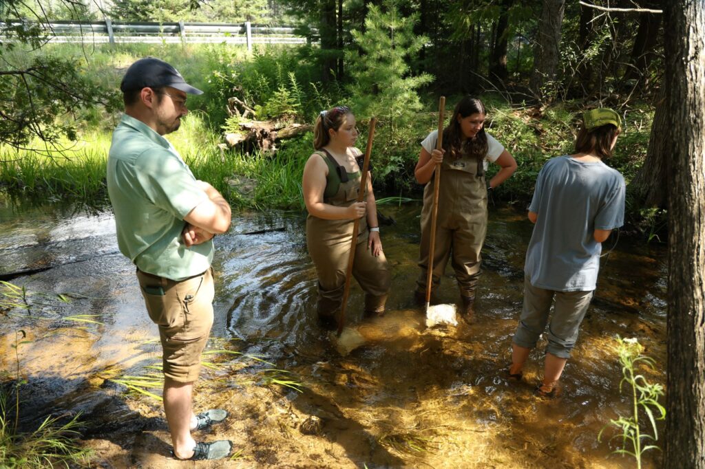 A group of CLEAR fellow students from the University of Michigan Biological Station collect samples from the creek.