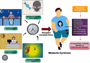 Graphic shows a person surrounded by images that indicate ways in which one's biological rhythm is disrupted.