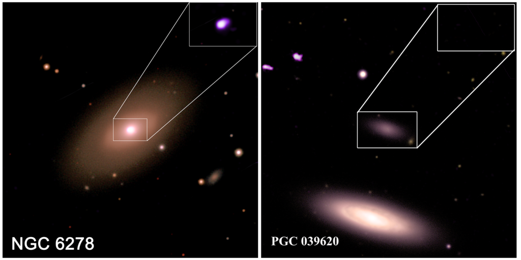 This figure features two optical light images of galaxies captured by the Sloan Digital Sky Survey, presented side-by-side. At the upper righthand corner of each image is an inset highlighting X-ray data from Chandra.

The first optical image, on our left, shows NGC 6278, a relatively large galaxy, about
the same size as our Milky Way. In the optical image, the galaxy resembles a tilted,
hazy golden oval, surrounded by a few small dots of golden light. Within the
translucent oval is a smaller, opaque, golden orange disk. At the center of that disk is a
bright, golden white dot. This dot is the focus of the X-ray inset. In the inset, the dot
appears pure white, and is ringed with a band of neon pink. These bright X-rays are a
clear indicator of a supermassive black hole at the center of the galaxy.

The second optical image, on our right, features PGC 039620, a relatively small
galaxy. It resembles a small, faint, translucent pink disk tilted on its side. It is
surrounded by a handful of pink and golden orange specks. A much larger spiral
galaxy appears below it, near the bottom edge of the frame. The center of PGC
039620's disk, is the focus of the X-ray inset. However, the inset appears entirely black, with no white dot or neon pink outline present. The lack of bright X-rays shows that there is no clear evidence for a supermassive black hole at the center of this small galaxy.
