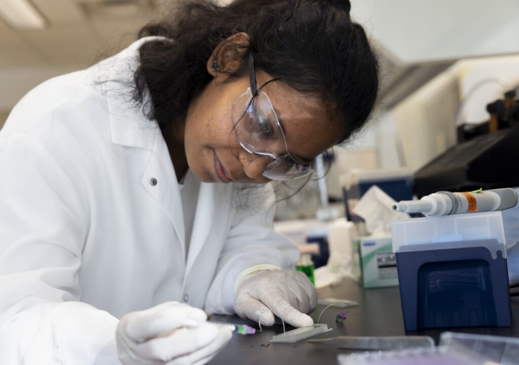In a lab coat, gloves, and safety glasses, Kumari leans over the lab bench, holding a syringe. The chip is about one inch wide, three inches long, and a quarter of an inch tall.