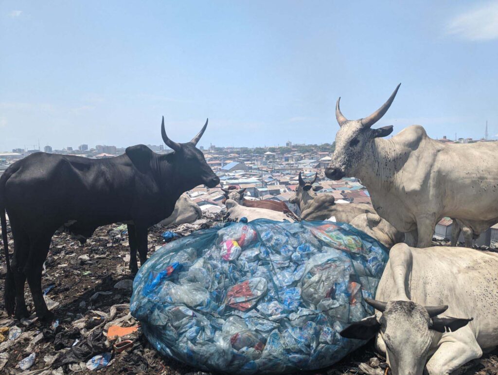 An informal settlement called Agbogbloshie has grown rapidly near the electronic waste recycling site in Accra, Ghana.