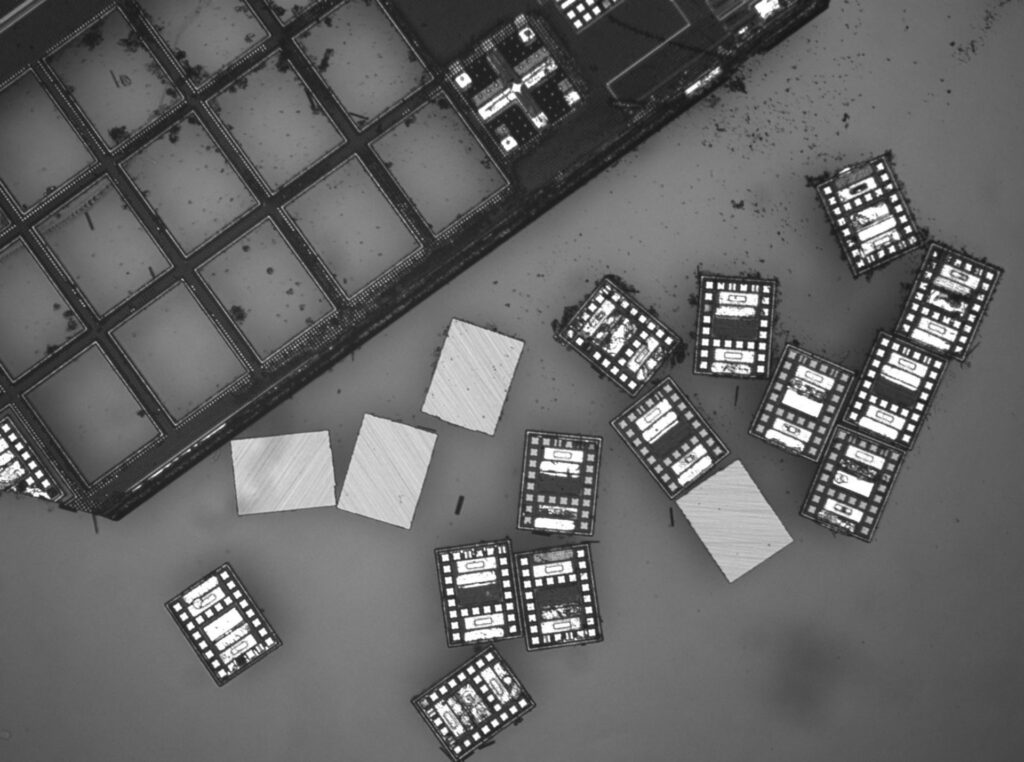 Microbots released after fabrication using microelectronics approaches. The cost per robot can be under a dollar, and they may be programmed individually or as a group. Image credit: Maya Lassiter, University of Pennsylvania